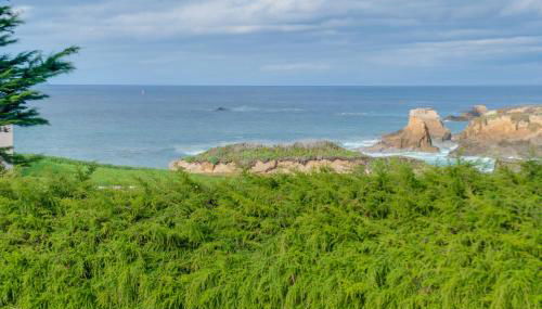 Dream Scape - Foto 3