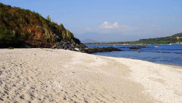 Riserva per il Salvataggio delle Tartarughe Marine - Foto 4