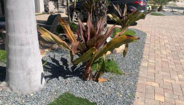 #1 Island Hideaway PICK ME!!! - Foto 5, Garden, Garden view