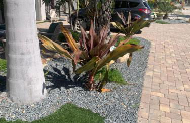 #1 Island Hideaway PICK ME!!! - Foto 5