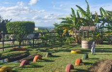 Flat Divina Paz Monte Castelo - Photo 30