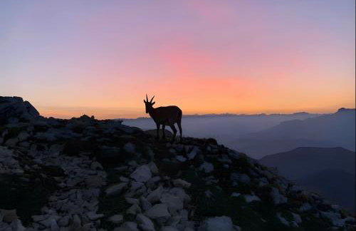 Gîte Crèmouille - Foto 19