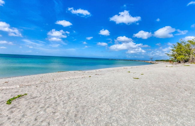 Sounds of the Summer - Foto 38