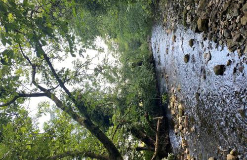 Wonderfully Scenic and Comfortable Dales Mill Property - Photo 47