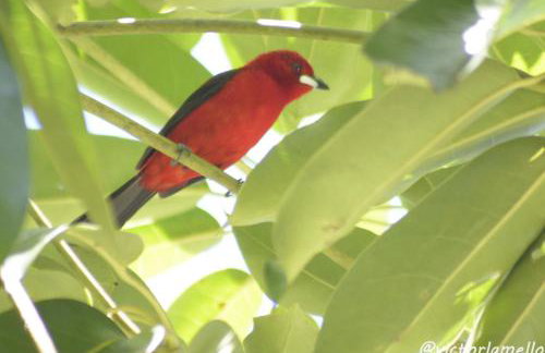 A Casinha Lumiar - Foto 35