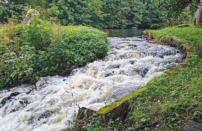 4 Person Holiday Home in Fristad - Foto 19