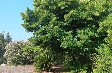 Alla Villa - Photo 13