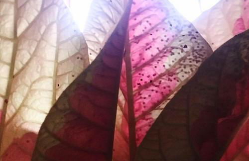 OFFICINALE Rome Apartment, Pineta Sacchetti - Foto 22