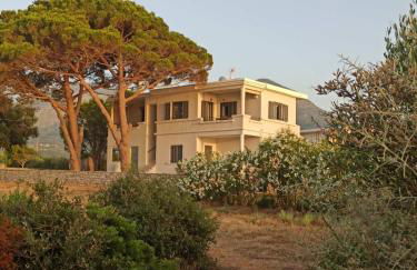 Tzanetos Pelagos - Foto 30