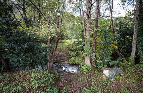 agroturismo Araize - Foto 7