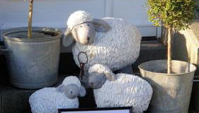 La clef des champs - Foto 2