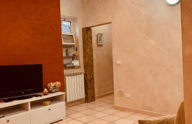 La Candida Rosa L T Anagni - Foto 14