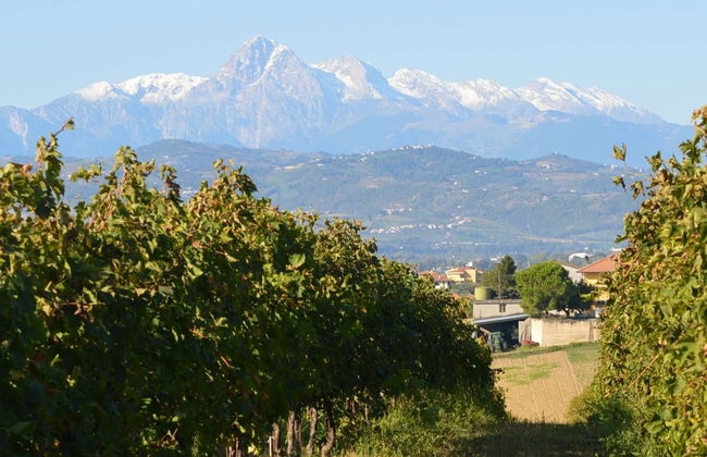 Visita à Cantina Mazzarosa - Foto 6