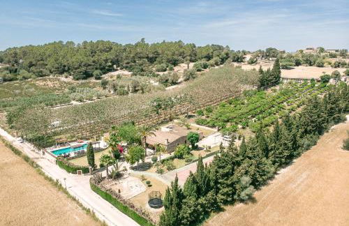 273 Villa Joy ETV99 by Mallorca Charme - Foto 36