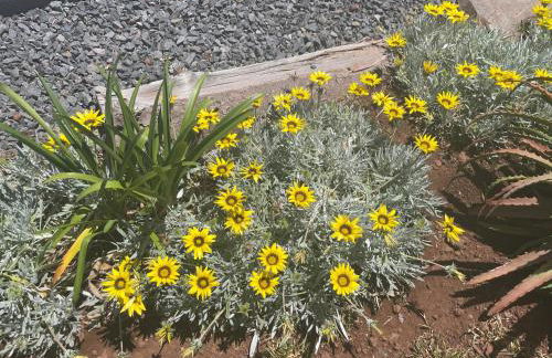 King´s Paradise (Heated Pool and Sea View) - Photo 22