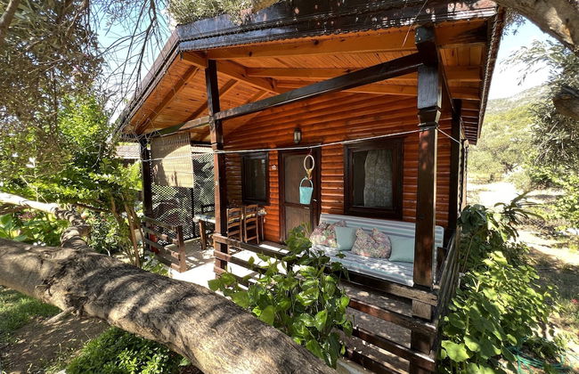 Ovabuku Ahsap Evler - Foto 33