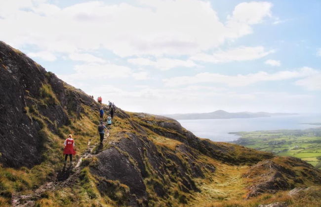 Lisheens Lodge - Foto 9