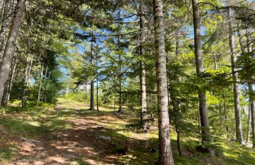 Waterfront Wildflower Cottage with Private Dock! - Foto 24