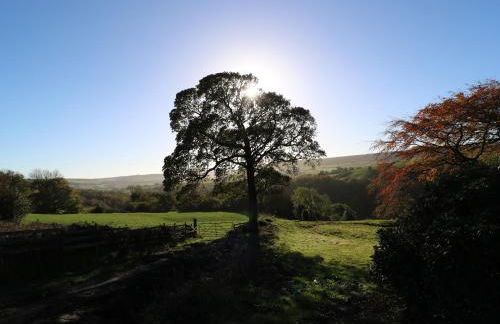 The Cottage, Beeston Hall - Foto 37