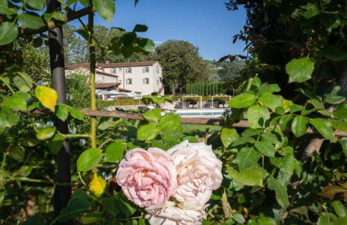 VILLA PITTI AMERIGHI 26, Emma Villas - Foto 82