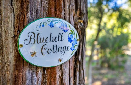 Wine Country Retreat with Pool, 10 Mi to Dtwn Sonoma - Foto 43