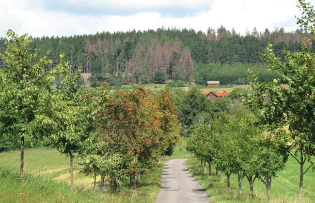 Comfortable Apartment in Nemojov Near Forest - Foto 75