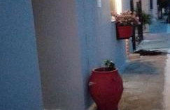 TAKIS HOUSE - Foto 15