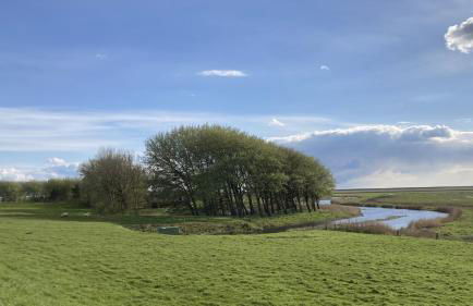 Op Lundingland - Bootshaus am alten Priel - Photo 18