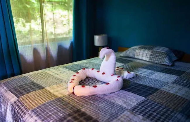 Pura Natura Lodge Arroyo - Foto 35