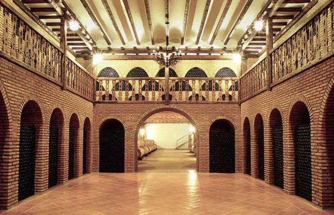 Visita a la finca Pago de La Jaraba - Foto 3