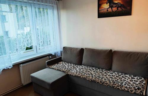 Słoneczny Taras - Foto 6