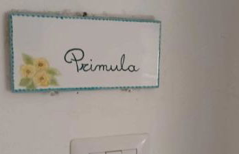 Il glicine - Primula - Foto 2