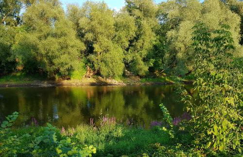 Viadrina Rooms & Apartments Frankfurt-Oder am Park im Zentrum - Foto 42