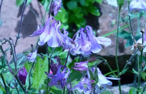 Apartment mit Ausblick - Wörth - Foto 25