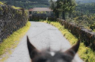 Casa d' Além Turismo e Natureza - Refúgio do Bosque - Foto 19