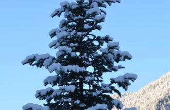 Haus Kargruber - Photo 22