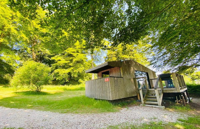 Etape en forêt - Foto 24