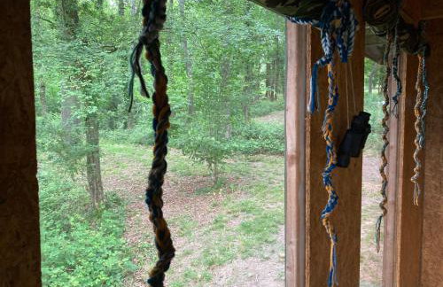 3 Guests - Pet Friendly - Grid Tree-House - Foto 11