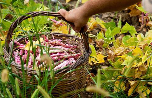 Pie' d'Ulivo - Foto 48