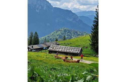 Panorama Suite Chiemsee - Photo 26