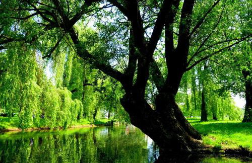 Apartament Tomek - Foto 24