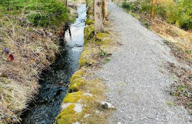 "Glück auf" Lichtdurchflutete schicke Ferienwohnung in Zwickau - Foto 45