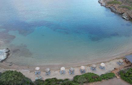 Elpida Andros - Foto 21