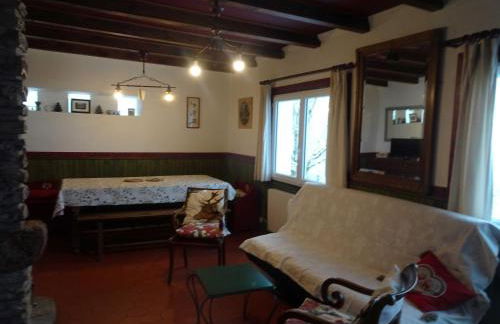 Chalet avec vue panoramique sur le Plomb du Cantal - Foto 8