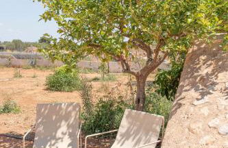 Hort de Ca'n Salvà - Foto 13