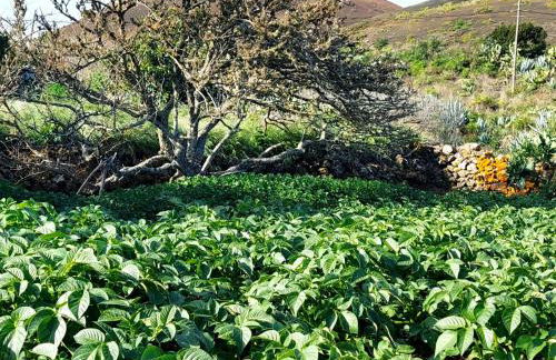 Casa Pilmar - Foto 27