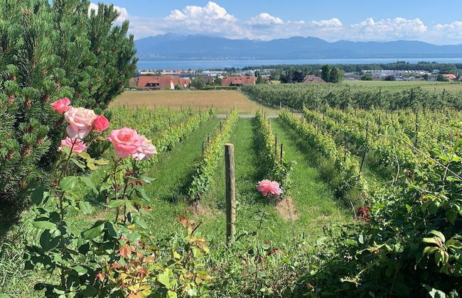 Stunning 6-bed Villa in Etoy - Foto 39