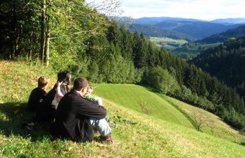 Ramsteinerhof - Foto 28