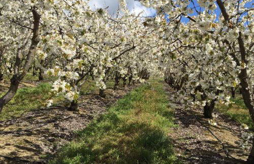 Quinta da Porta - Solar de Vale de Prazeres - Foto 60
