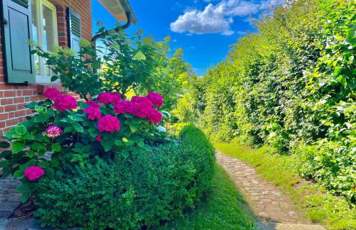 Dat-Klinkerhus-auf-Ruegen-XXL-Urlaubsparadies-nahe-Ostseestrand-Nationalpark-fuer-17-Gaeste - Foto 10